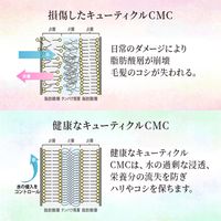 ＮＩＪＩ＜ニジ＞ リズミック シャンプー