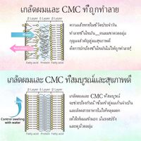 แชมพู NIJI Rhythmic