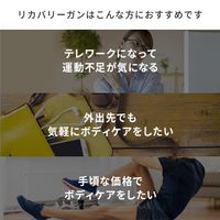 Dr.Airドクターエア リカバリーガン マッサージ器 RG-01-WH