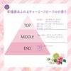 KOSE Suncut Tone Up UV 精华 粉色火烈鸟 SPF50+ PA++++ 80g