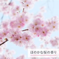 [Quantity limited] ALLIE alie chrono beat tone up UV saucer SPF50 + PA ++ + 60G <cherry blossom pink color>