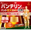 [2nd-Class OTC Drug] Vantelin Kowapat EX Hot Large