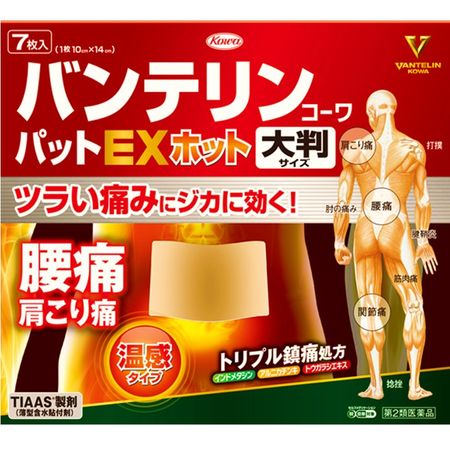 [2nd-Class OTC Drug] Vantelin Kowapat EX Hot Large
