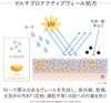 KANEBO 카네보 글로벌 스킨 프로텍터a SPF50+/PA++++ 자외선 차단제 60g