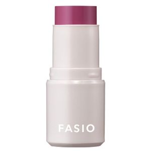 FASIO 멀티 페이스 스틱