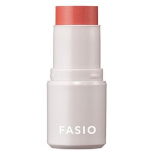 FASIO Multi Face Stick