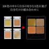 KATE The Eye Color Case Kanebo