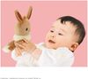 Royal Monpoke My Milk Eevee 6069