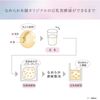 Nameraka Honpo Medicinal Foam Face Wash (Refill) 180ml Tokiwa Yakuhin Kogyo