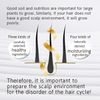 MRE Deep In Hair Essence JUNO (60ml)