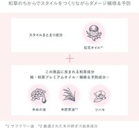 ICHIKAMI ING RELAX 底妝噴霧 28ml