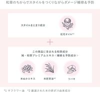 ICHIKAMI ING CHIC 護髮油 28ml