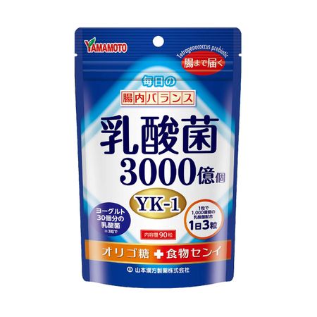야마모토 칸포 제약 유산균 정 90정