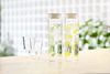 HARIO Freepot Water Bottle Retro Lemon FPR-10-LM 1L