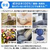 IRIS OHYAMA 冲洗器清洁剂专用清洁液，清洁、除臭和消毒，RNSE-460，460ml