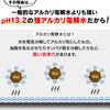 IRIS OHYAMA 冲洗器清洁剂专用清洁液，清洁、除臭和消毒，RNSE-460，460ml