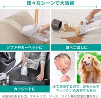 IRIS OHYAMA Rinse Cleaner for Stain Removal RNS-300