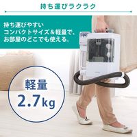 IRIS OHYAMA Rinse Cleaner for Stain Removal RNS-300