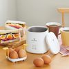 APIX Apix Egg Meister AEM-420