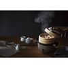APIX AMZ-450GY Electric bamboo steamer Mushizanmai
