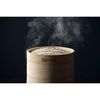 APIX AMZ-450GY Electric bamboo steamer Mushizanmai