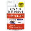 メタプラスウエストお徳用３１日分 62粒
