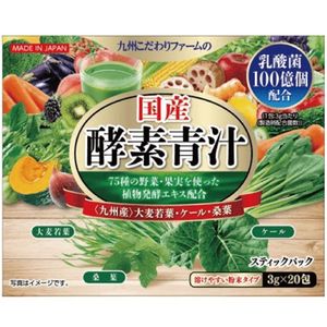 日本國產酵素青汁 20包