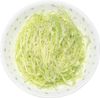 宽型卷心菜切丝机（固定式）KAI KHS DH7205