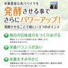 바이오 노멀라이저 3g×30포 바이오 노멀라이저 청파파야 효소 청파파야 발효식품 산오 인터내셔널 청파파야