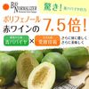 바이오 노멀라이저 3g×30포 바이오 노멀라이저 청파파야 효소 청파파야 발효식품 산오 인터내셔널 청파파야