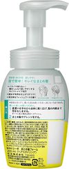 카오 리세 올림머리 폼 본품 200ml