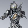 S.H.Figuarts 트리거 다크
