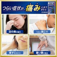 Alinamin Medical GOLD [Class 3 drugs] 45 tablets