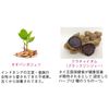 【신상품】POLA 이너리프티아 콜라겐 코어 폼 1.8g×30포 / 30일분