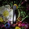 B.A 化妝水 120ml