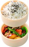 Skater Round Lunch Box 500ml Bento Box with Fork My Neighbor Totoro Ghibli Made in Japan