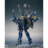 METAL ROBOT Spirits (Ka signature) ＜SIDE OG＞ Huckebein 30th