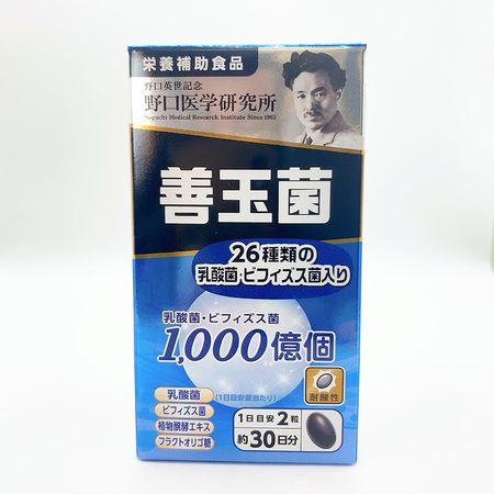 Noguchi Medical Research Institute Good Bacteria 60 tablets