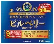 웰니스재팬 빌베리 200맥스 120캡슐