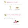 FANCL BC美容濃縮物18ml衰老護理（無添加劑）