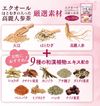 オリヒロ エクオールはとむぎの入った高麗人参茶 2g×20袋