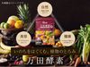 Manda 酵素桑葚獨立包裝 77.5 克（2.5 克 x 31 袋）