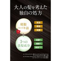 Oshima Tsubaki Excellent Hair Treatment 200g