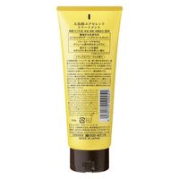 Oshima Tsubaki Excellent Hair Treatment 200g