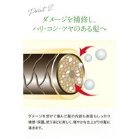 Oshima Tsubaki Excellent Hair Treatment 200g