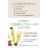 Oshima Tsubaki Excellent Hair Treatment 200g