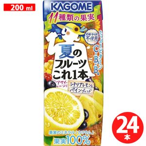 Summer Fruits: Sicilian Lemon & Pine Blend 200ml x 24 bottles
