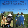 Argentine wild flower honey 450g [honey]