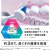 Panasonic EW-DP56-S [Doltz sonic vibration toothbrush]