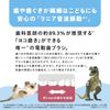 Panasonic EW-DK31-A [Sonic vibration toothbrush Kids Doltz]